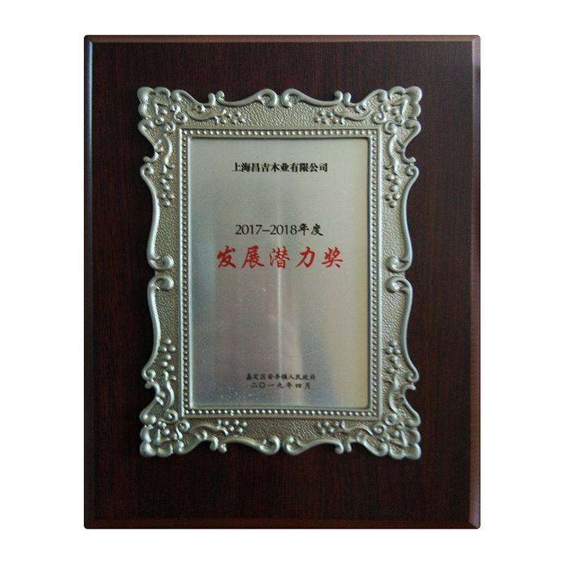 2017-2018年發展潛力獎